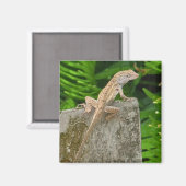 Meester in camouflage magneet (Voorkant / Achterkant)