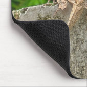 Meester in camouflage muismat (Hoek)