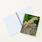 Meester in camouflage notitieboek (Binnen)