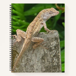 Meester in camouflage notitieboek