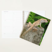 Meester in camouflage planner (Display)