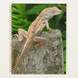 Meester in camouflage planner