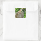 Meester in camouflage vierkante sticker (Tas)