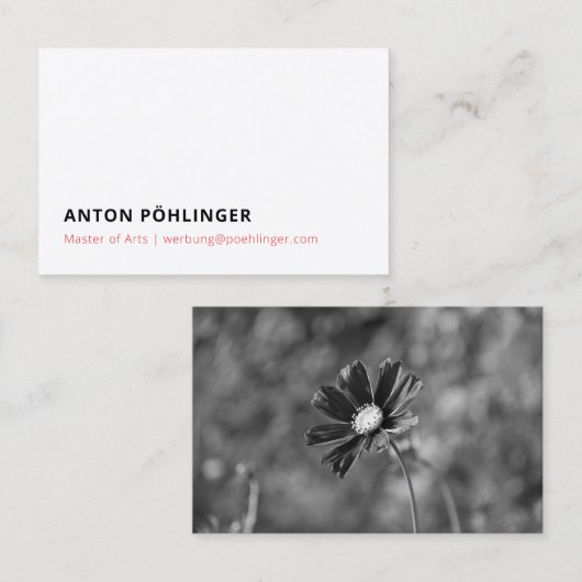 meester minimaal gereduceerd visitekaartje (Voorkant / Achterkant)