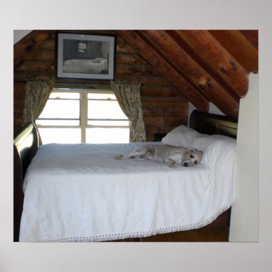 Meester's slaapkamer poster (Voorkant)