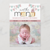 Meet The Mini Pink Baby Birth Announcement Card (Voorkant)