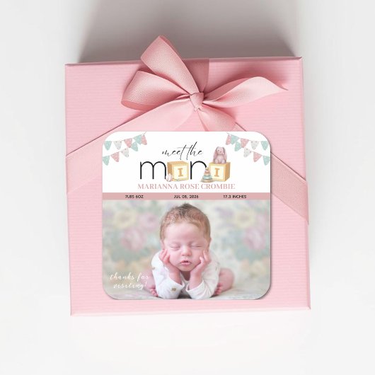 Meet The Mini Pink Baby Stickers