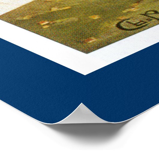 Meeting d'Aviation Nice Poster (Hoek)