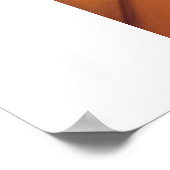 Meeting Tracy Poster (Hoek)