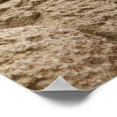 Meetkat Posterq Poster (Hoek)