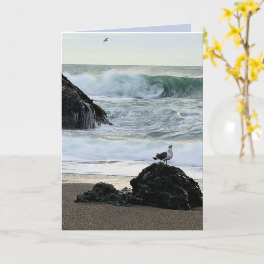 Meeuw aan zee kaart (Gele Bloem)