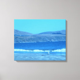 Meeuw bij Doran Canvas Afdruk
