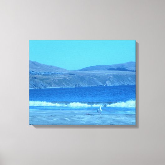 Meeuw bij Doran Canvas Afdruk (Voorkant)