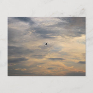 Meeuw bij Dusk Beach Vogel fotografie Briefkaart