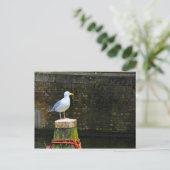 Meeuw Briefkaart (Staand voorkant)