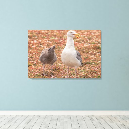 Meeuw en kuiken canvas afdruk (Insitu (Houten vloer))