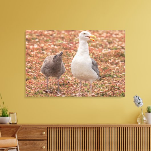 Meeuw en kuiken canvas afdruk (Insitu (Woonkamer))