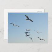 meeuw feestdagenkaart (Voorkant / Achterkant)