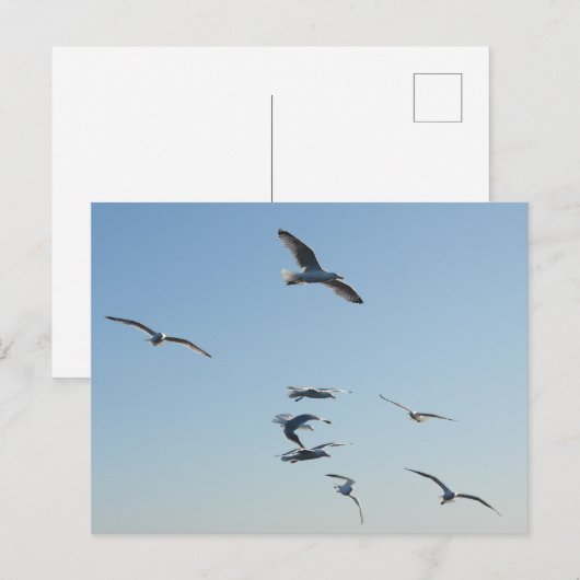 meeuw feestdagenkaart (Voorkant / Achterkant)