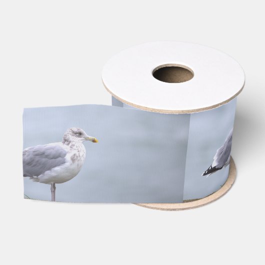 Meeuw Foto Lint (Spoel)