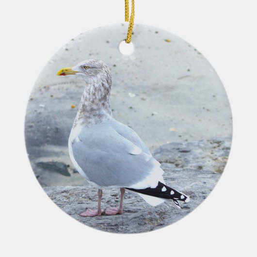 Meeuw Foto Ornament (Voorkant)