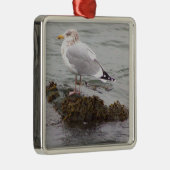 Meeuw Foto Ornament (Rechts)