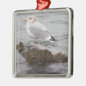 Meeuw Foto Ornament (Links)
