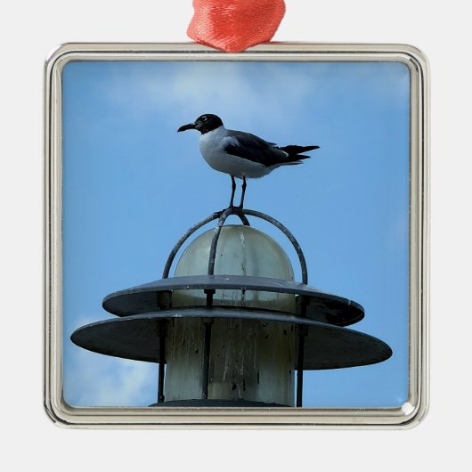 Meeuw Foto Ornament  (Voorkant)