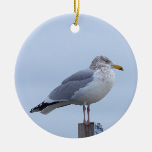 Meeuw Foto Ornament (Voorkant)