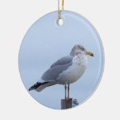 Meeuw Foto Ornament (Links)