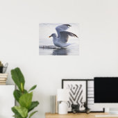Meeuw Foto Poster (Thuiskantoor)