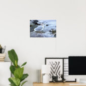 Meeuw Foto Poster (Thuiskantoor)