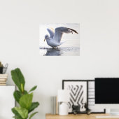Meeuw Foto Poster (Thuiskantoor)