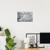 Meeuw Foto Poster (Thuiskantoor)