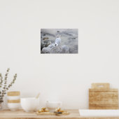 Meeuw Foto Poster (Keuken)