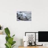 Meeuw Foto Poster (Thuiskantoor)