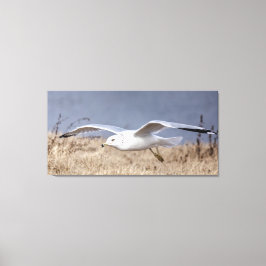 Meeuw in vlucht canvas afdruk