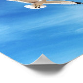 Meeuw in vlucht poster (Hoek)