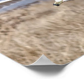 Meeuw in vlucht poster (Hoek)
