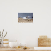 Meeuw in vlucht poster (Keuken)