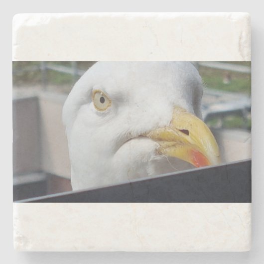 Meeuw Kijkend Stenen Onderzetter (Voorkant)