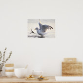 Meeuw Krab Visserij Foto Poster (Keuken)