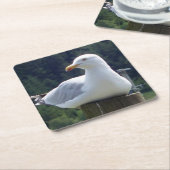 meeuw liggend op hek post Onderzetter (Schuin)