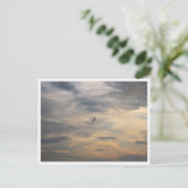 Meeuw Natuurfotografie Briefkaart (Staand voorkant)