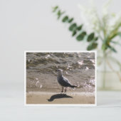 Meeuw Natuurfotografie Briefkaart (Staand voorkant)