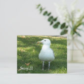 Meeuw op het Gras Briefkaart (Staand voorkant)