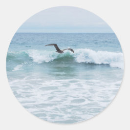 Meeuw op het strand in Californië Ronde Sticker