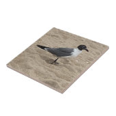 Meeuw op het strand in het zand tegeltje (Zijkant)