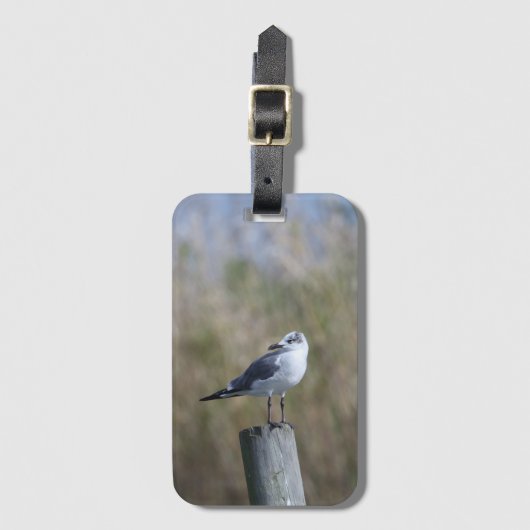 Meeuw op post bagagelabel (Voorkant (verticaal))
