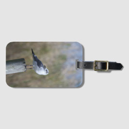 Meeuw op post bagagelabel